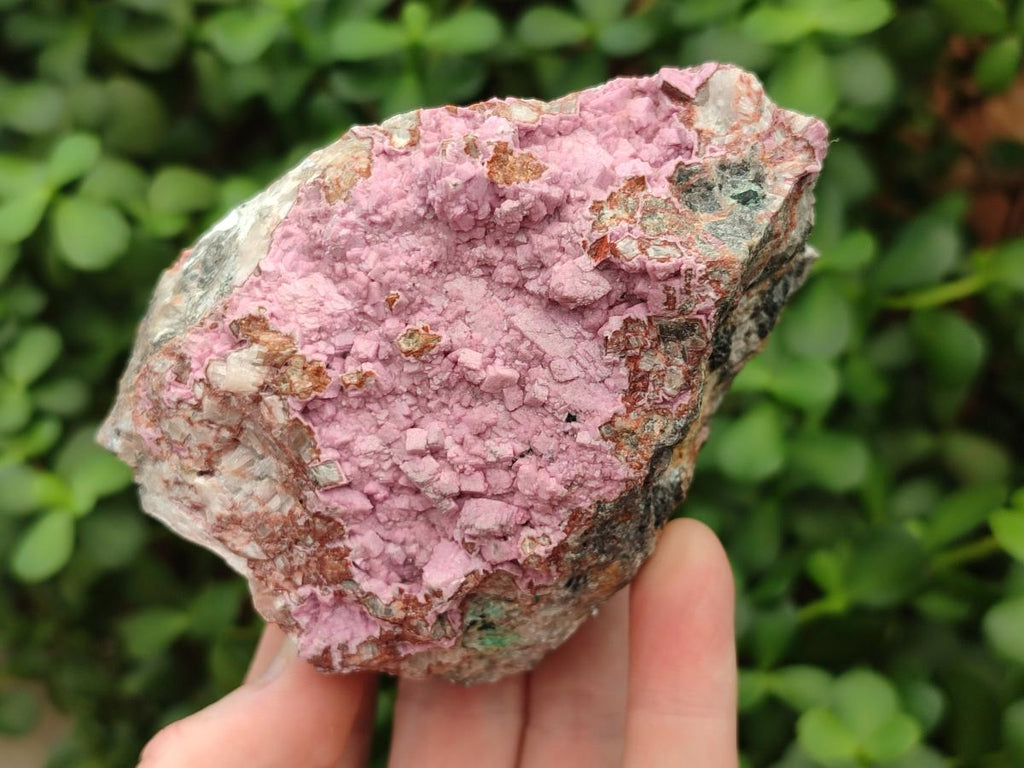 Natural Salrose Cobaltoan Dolomite Specimens x 4 From Kakanda, Congo