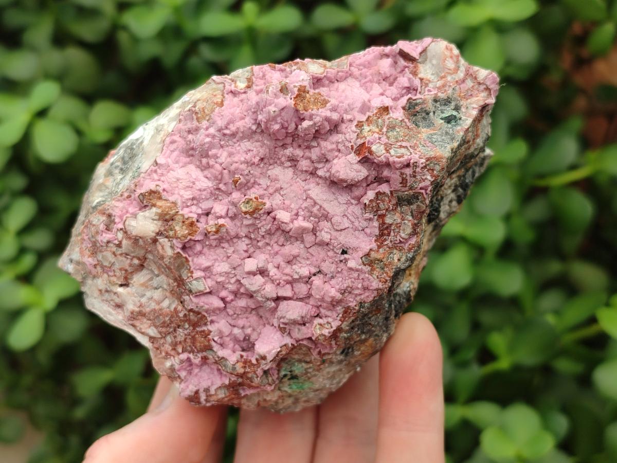 Natural Salrose Cobaltoan Dolomite Specimens x 4 From Kakanda, Congo