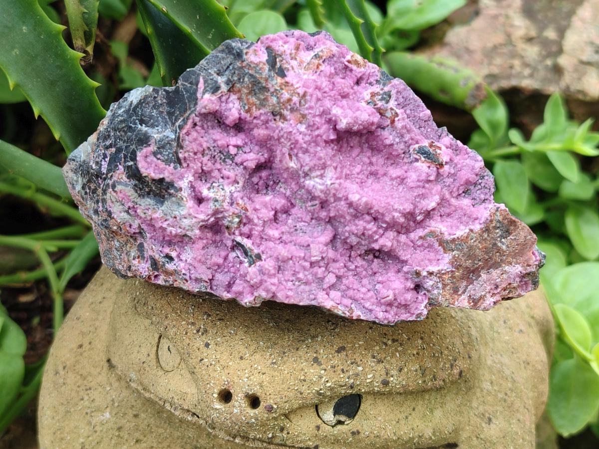 Natural Salrose Cobaltoan Dolomite Specimens x 4 From Kakanda, Congo