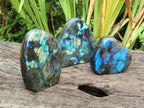 Polished Labradorite Standing Free Forms x 3 From Madagascar