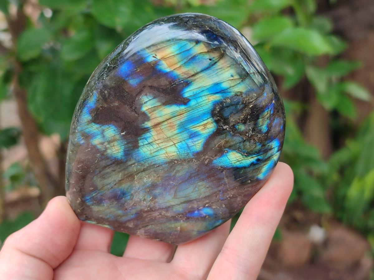 Polished Labradorite Standing Free Forms x 3 From Madagascar