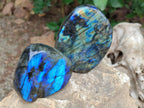 Polished Labradorite Standing Free Forms x 3 From Madagascar
