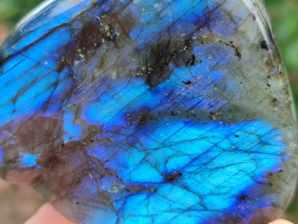 Polished Labradorite Standing Free Forms x 3 From Madagascar