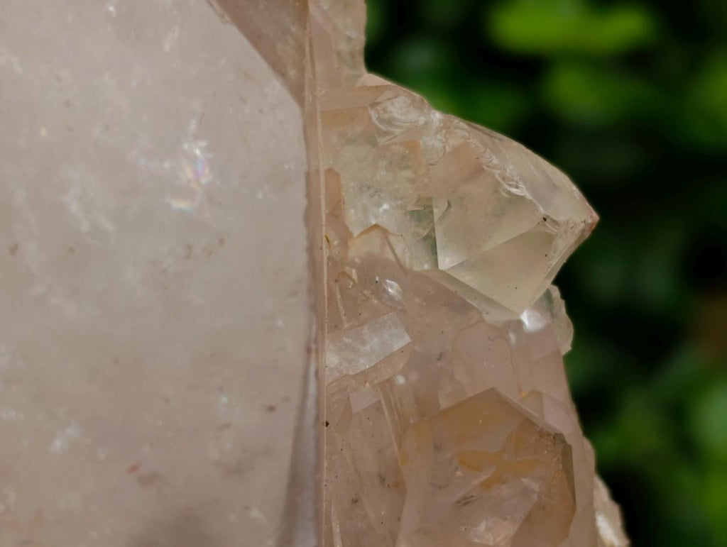 Polished XL Double Terminated Smokey Quartz Crystal x 1 From Angola