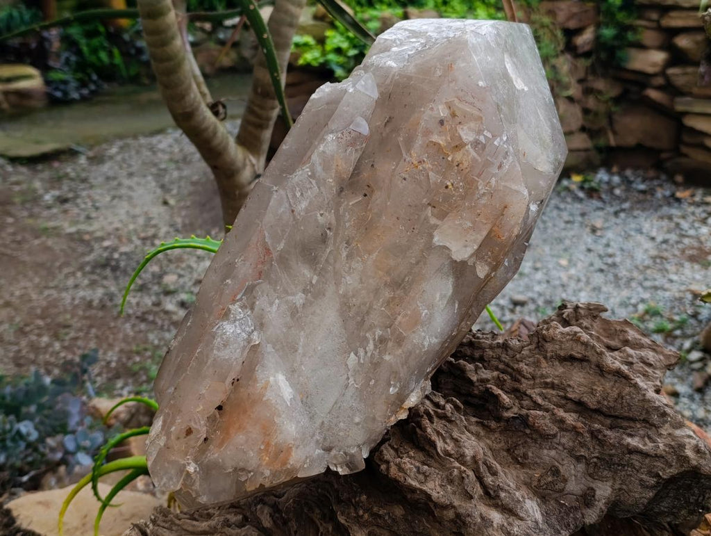 Polished XL Double Terminated Smokey Quartz Crystal x 1 From Angola