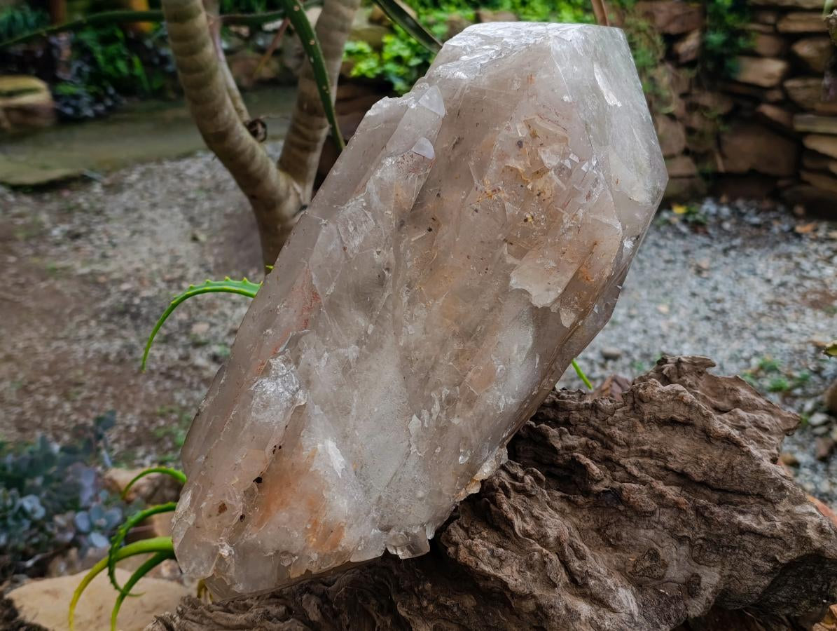 Polished XL Double Terminated Smokey Quartz Crystal x 1 From Angola