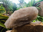 Polished XL Double Terminated Smokey Quartz Crystal x 1 From Angola