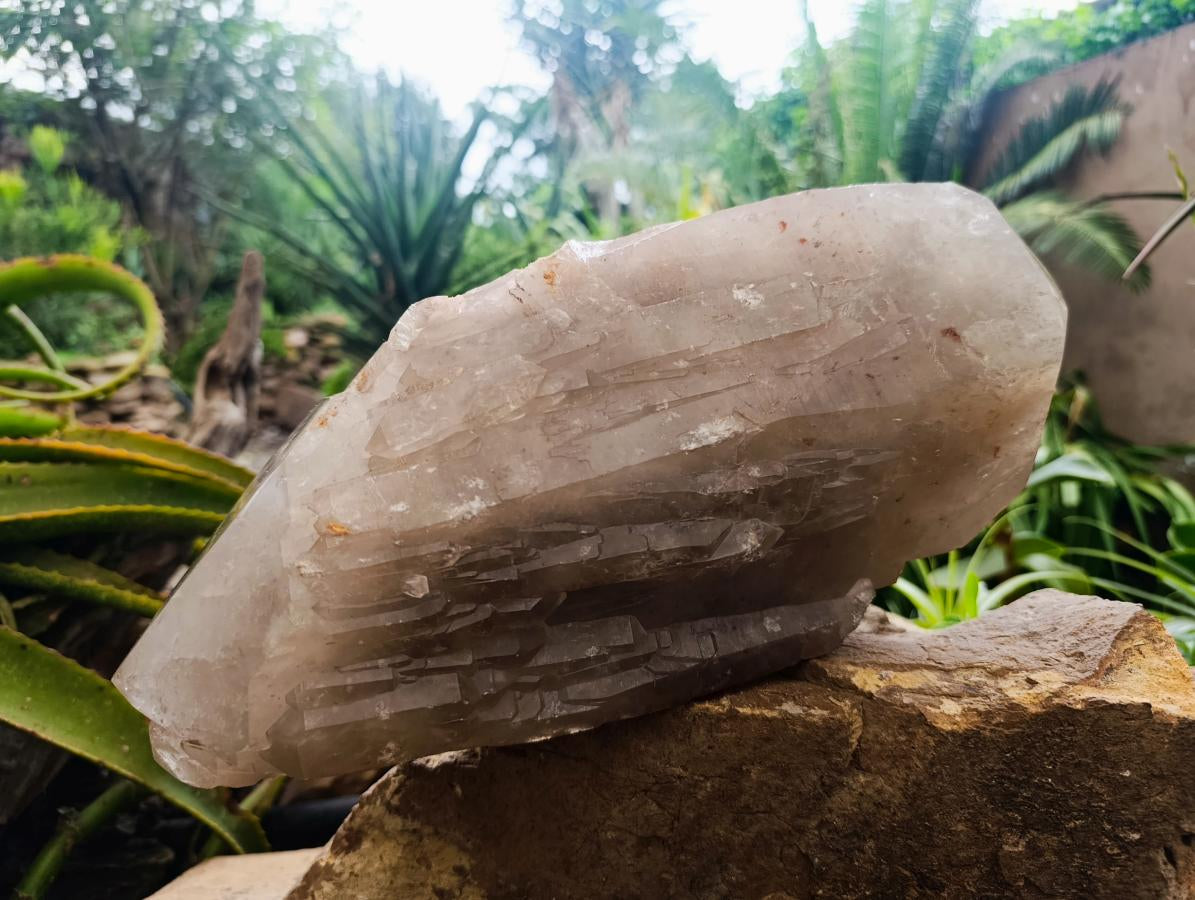 Polished XL Double Terminated Smokey Quartz Crystal x 1 From Angola