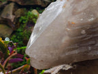 Polished XL Double Terminated Smokey Quartz Crystal x 1 From Angola