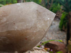 Polished XL Double Terminated Smokey Quartz Crystal x 1 From Angola