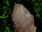 Polished XL Double Terminated Smokey Quartz Crystal x 1 From Angola