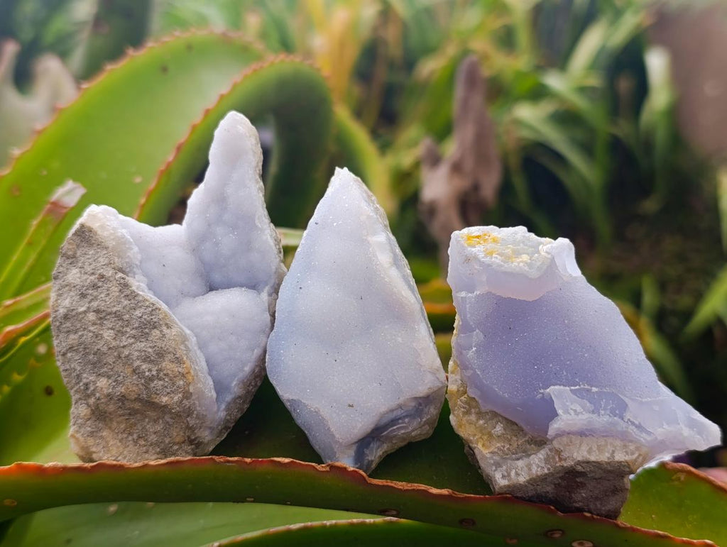 Natural Blue Lace Agate Geode and Cluster Specimens x 24 From Nsanje, Malawi