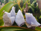 Natural Blue Lace Agate Geode and Cluster Specimens x 24 From Nsanje, Malawi