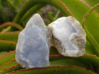 Natural Blue Lace Agate Geode and Cluster Specimens x 24 From Nsanje, Malawi