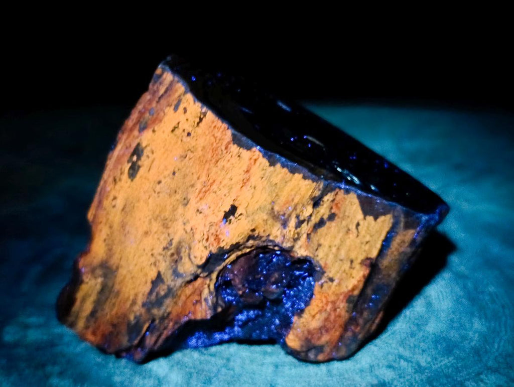 Polished On One Side Dadoxylon Petrified Wood Tree Branches x 3 From Gokwe, Zimbabwe - Toprock Gemstones and Minerals 