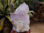Natural Amethyst and Ametrine Spirit Clusters x 6 From Boekenhouthoek, South Africa - Toprock Gemstones and Minerals 