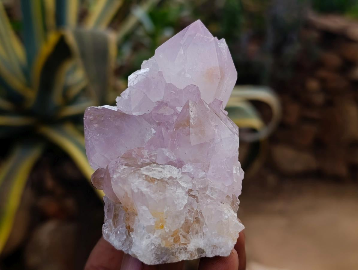 Natural Amethyst and Ametrine Spirit Clusters x 6 From Boekenhouthoek, South Africa - Toprock Gemstones and Minerals 