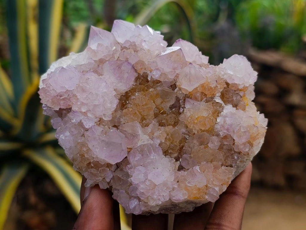 Natural Amethyst and Ametrine Spirit Clusters x 6 From Boekenhouthoek, South Africa - Toprock Gemstones and Minerals 