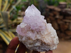 Natural Amethyst and Ametrine Spirit Clusters x 6 From Boekenhouthoek, South Africa - Toprock Gemstones and Minerals 