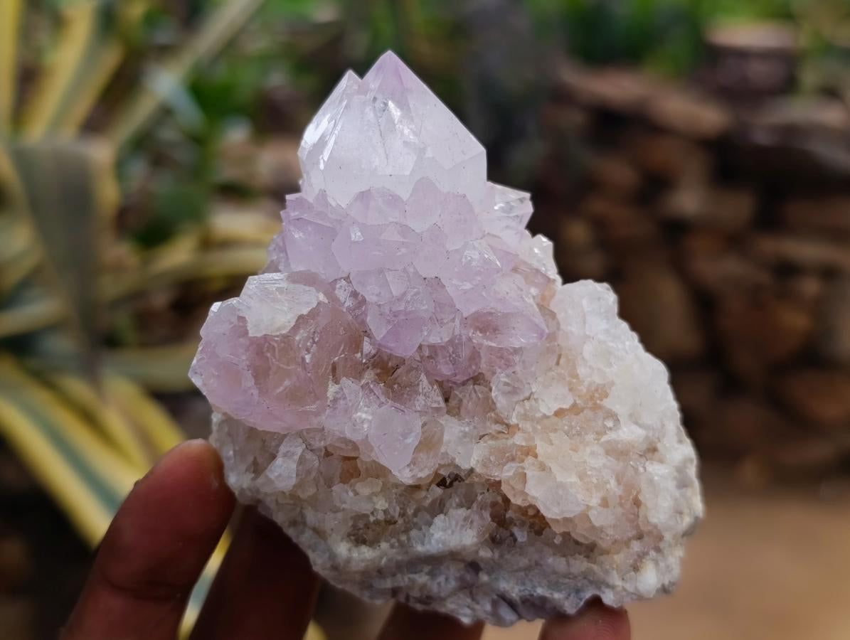 Natural Amethyst and Ametrine Spirit Clusters x 6 From Boekenhouthoek, South Africa - Toprock Gemstones and Minerals 