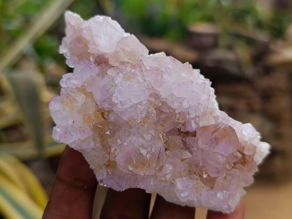 Natural Amethyst and Ametrine Spirit Clusters x 6 From Boekenhouthoek, South Africa - Toprock Gemstones and Minerals 