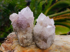 Natural Amethyst and Ametrine Spirit Clusters x 6 From Boekenhouthoek, South Africa - Toprock Gemstones and Minerals 