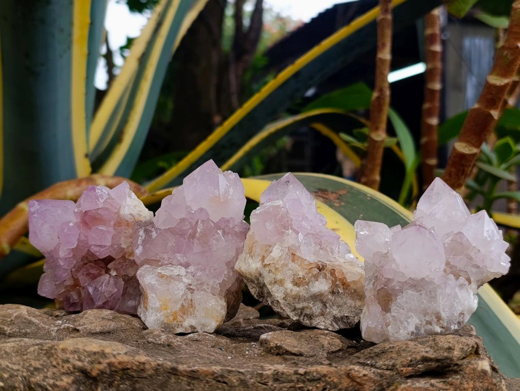 Natural Amethyst and Ametrine Spirit Clusters x 6 From Boekenhouthoek, South Africa - Toprock Gemstones and Minerals 