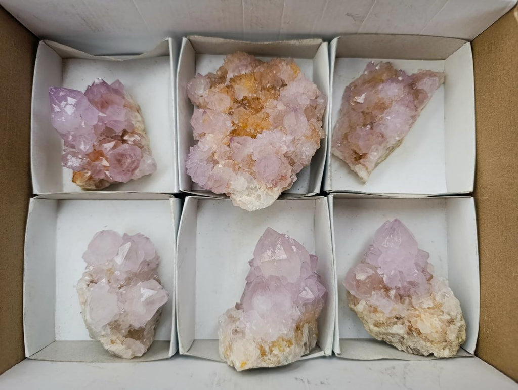 Natural Amethyst and Ametrine Spirit Clusters x 6 From Boekenhouthoek, South Africa - Toprock Gemstones and Minerals 
