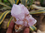 Natural Amethyst and Ametrine Spirit Clusters x 6 From Boekenhouthoek, South Africa - Toprock Gemstones and Minerals 