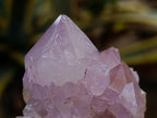 Natural Amethyst and Ametrine Spirit Clusters x 6 From Boekenhouthoek, South Africa - Toprock Gemstones and Minerals 