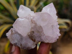 Natural Amethyst and Ametrine Spirit Clusters x 6 From Boekenhouthoek, South Africa - Toprock Gemstones and Minerals 