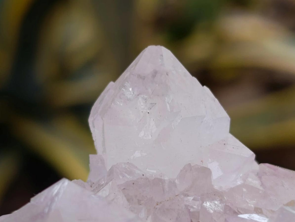 Natural Amethyst and Ametrine Spirit Clusters x 6 From Boekenhouthoek, South Africa - Toprock Gemstones and Minerals 