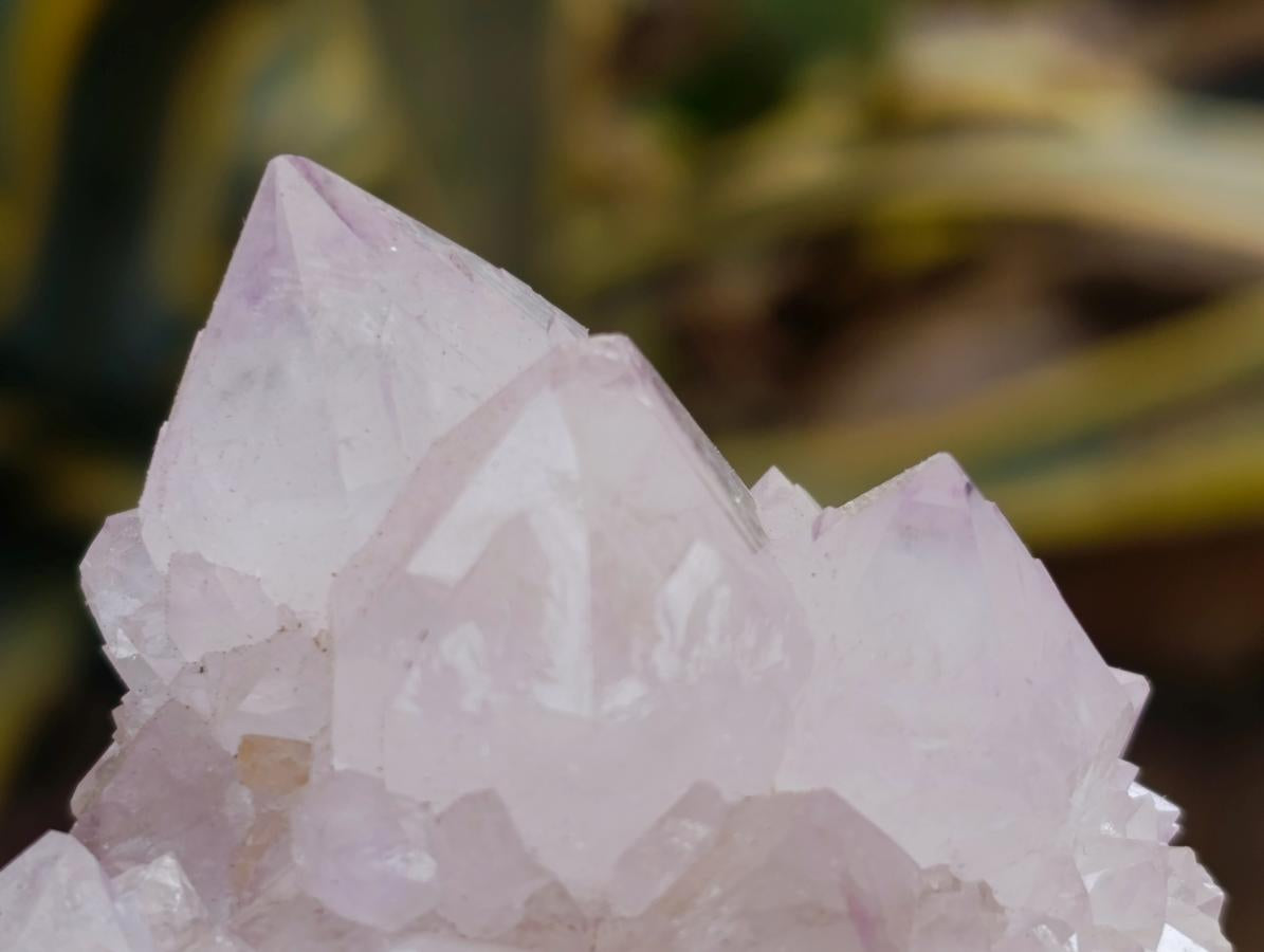 Natural Amethyst and Ametrine Spirit Clusters x 6 From Boekenhouthoek, South Africa - Toprock Gemstones and Minerals 