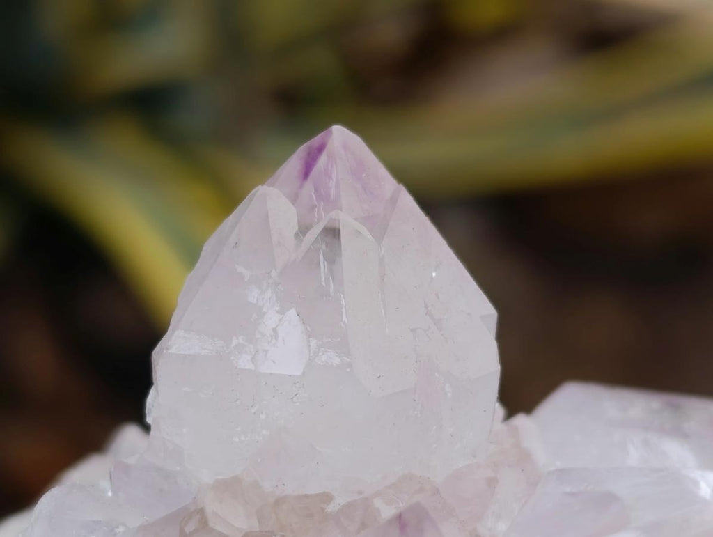 Natural Amethyst and Ametrine Spirit Clusters x 6 From Boekenhouthoek, South Africa - Toprock Gemstones and Minerals 