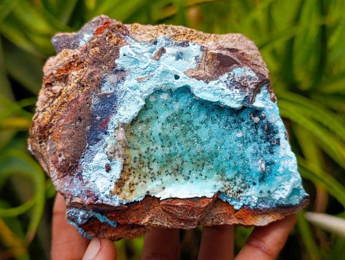 Natural Drusy Coated Chrysocolla with Malachite Specimens x 3 From Lupoto Mine, Congo - Toprock Gemstones and Minerals 