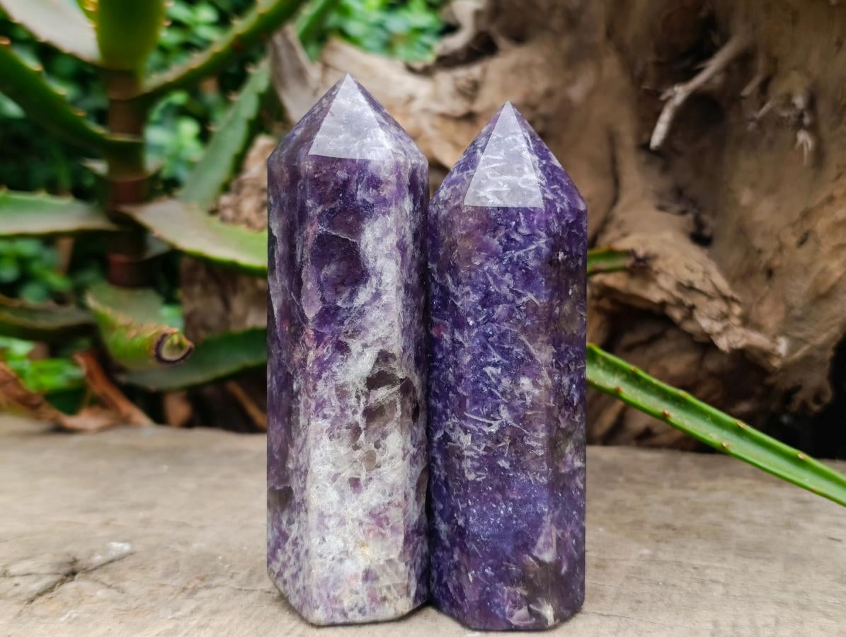 Polished Lepidolite Display Crystals x 6 From Ambatondrazaka, Madagascar - Toprock Gemstones and Minerals 