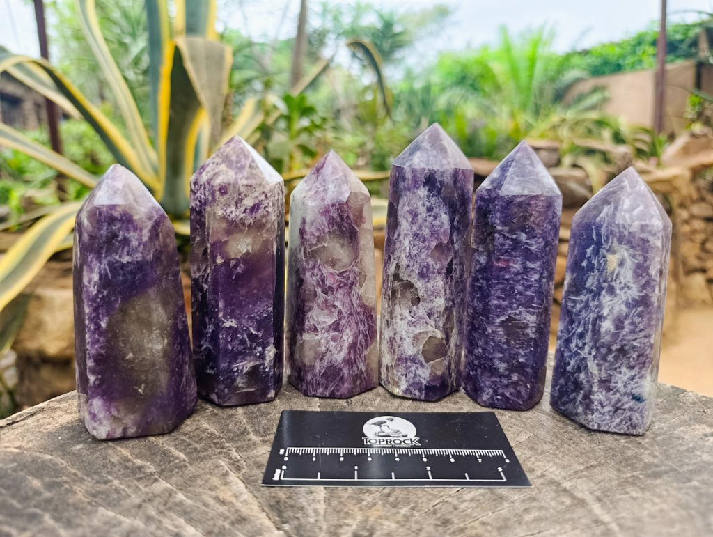 Polished Lepidolite Display Crystals x 6 From Ambatondrazaka, Madagascar - Toprock Gemstones and Minerals 