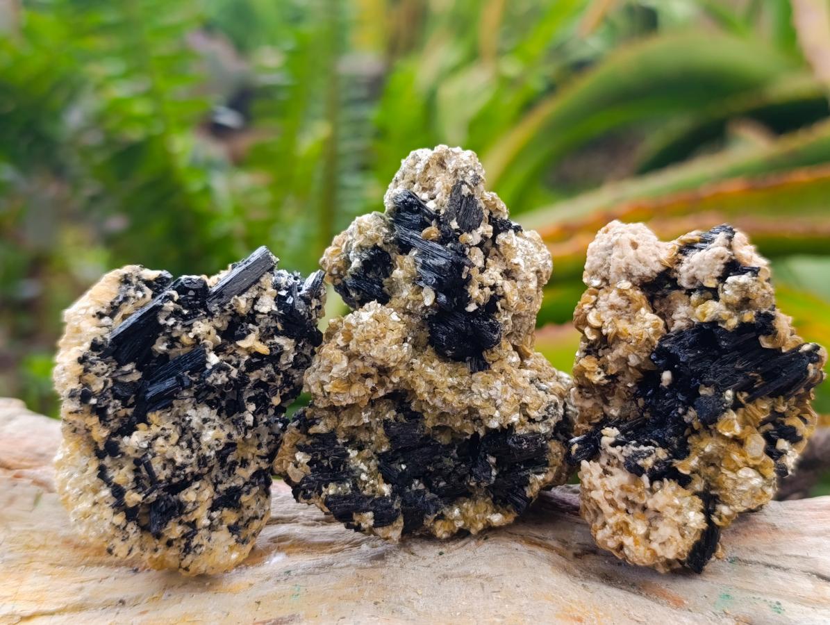Natural Schorl Black Tourmaline with Vermiculite Mica x 35 From Erongo, Namibia - Toprock Gemstones and Minerals 