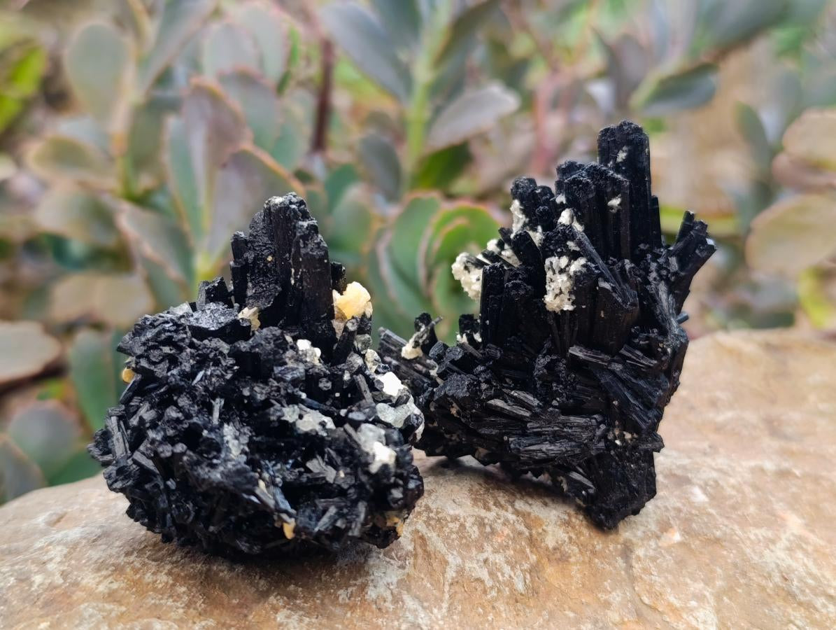 Natural Schorl Black Tourmaline with Vermiculite Mica x 35 From Erongo, Namibia - Toprock Gemstones and Minerals 