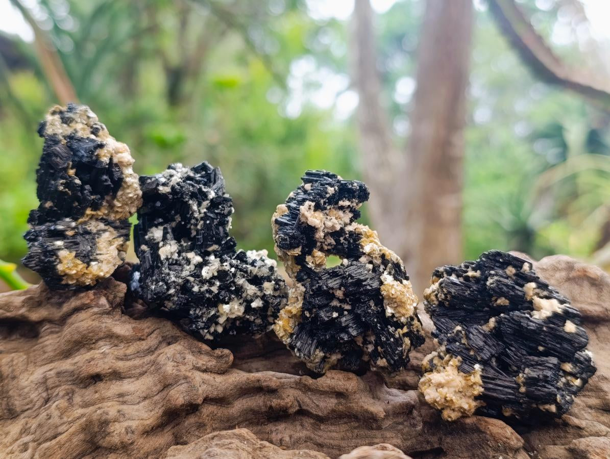 Natural Schorl Black Tourmaline with Vermiculite Mica x 35 From Erongo, Namibia - Toprock Gemstones and Minerals 