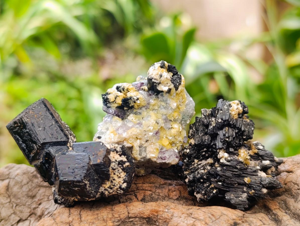 Natural Schorl Black Tourmaline with Vermiculite Mica x 35 From Erongo, Namibia - Toprock Gemstones and Minerals 