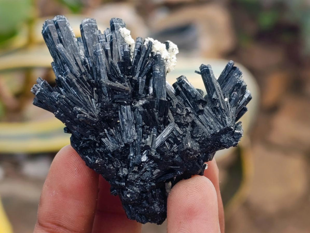 Natural Schorl Black Tourmaline with Vermiculite Mica x 35 From Erongo, Namibia - Toprock Gemstones and Minerals 