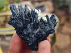 Natural Schorl Black Tourmaline with Vermiculite Mica x 35 From Erongo, Namibia - Toprock Gemstones and Minerals 