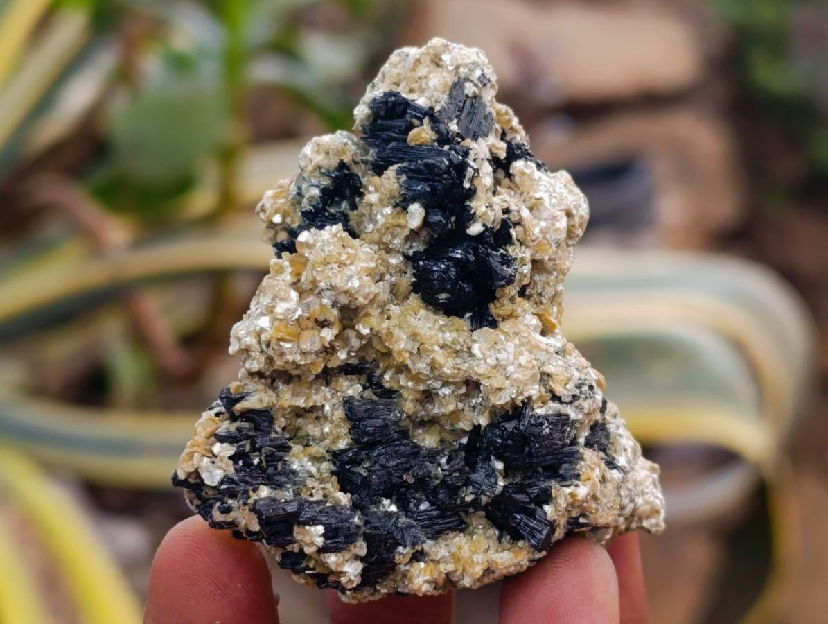 Natural Schorl Black Tourmaline with Vermiculite Mica x 35 From Erongo, Namibia - Toprock Gemstones and Minerals 