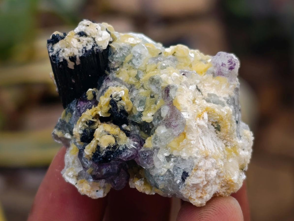 Natural Schorl Black Tourmaline with Vermiculite Mica x 35 From Erongo, Namibia - Toprock Gemstones and Minerals 