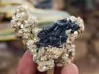 Natural Schorl Black Tourmaline with Vermiculite Mica x 35 From Erongo, Namibia - Toprock Gemstones and Minerals 