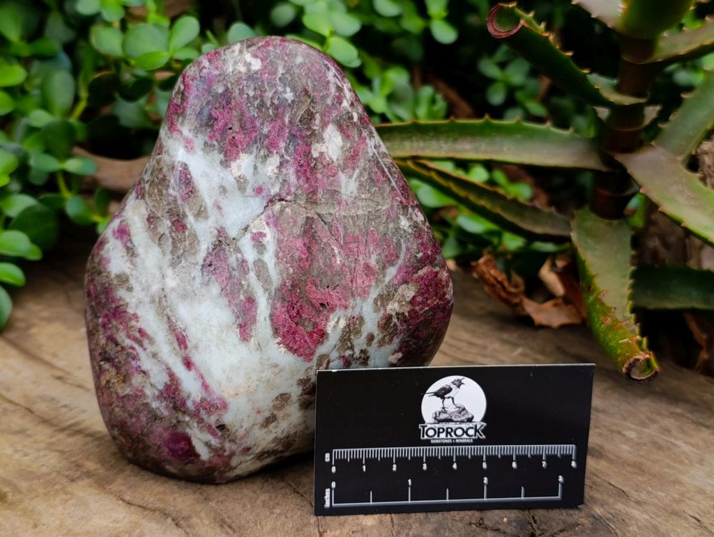 Polished Large Rubellite Pink Tourmaline Standing Free Form x 1 From Ambatondrazaka, Madagascar - Toprock Gemstones and Minerals 