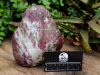 Polished Large Rubellite Pink Tourmaline Standing Free Form x 1 From Ambatondrazaka, Madagascar - Toprock Gemstones and Minerals 