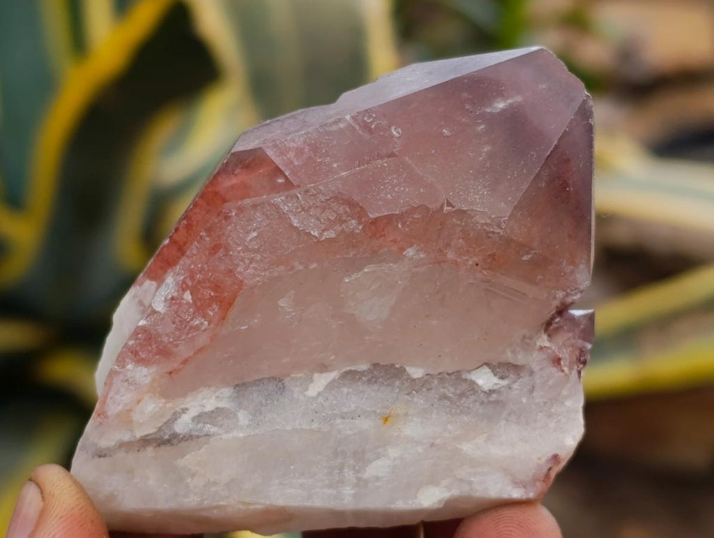 Natural Red Hematoid Quartz Crystals x 12 From Karoi, Zimbabwe - Toprock Gemstones and Minerals 