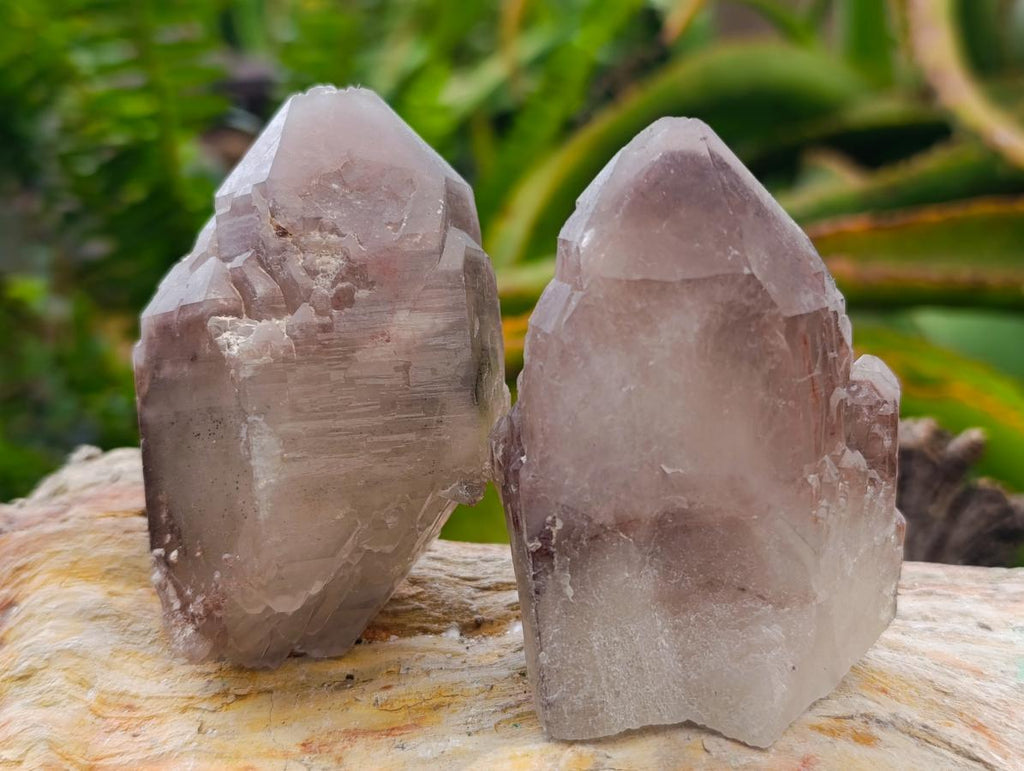 Natural Red Hematoid Quartz Crystals x 12 From Karoi, Zimbabwe - Toprock Gemstones and Minerals 
